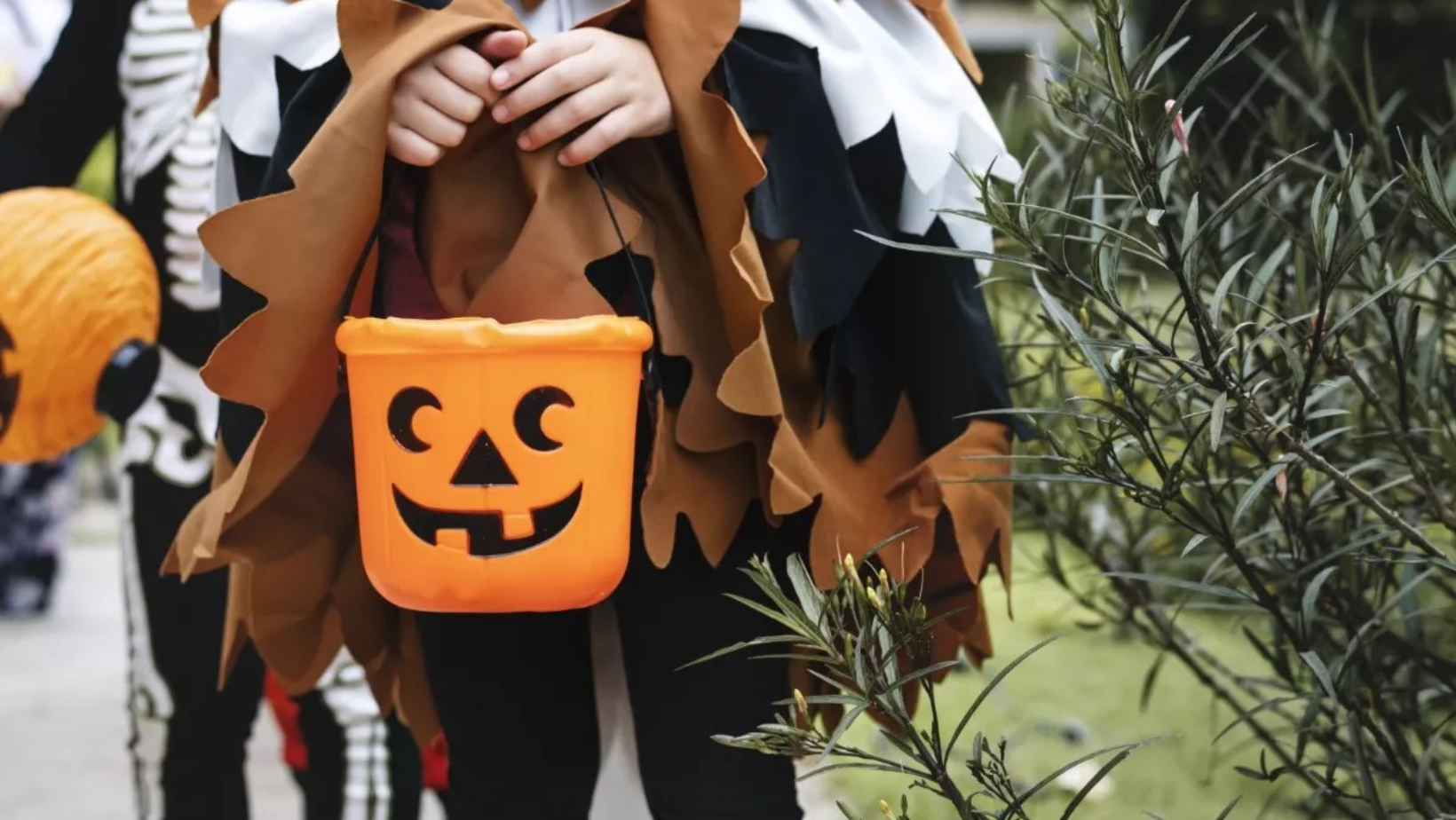 trick or treat